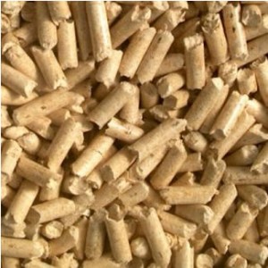 pellet